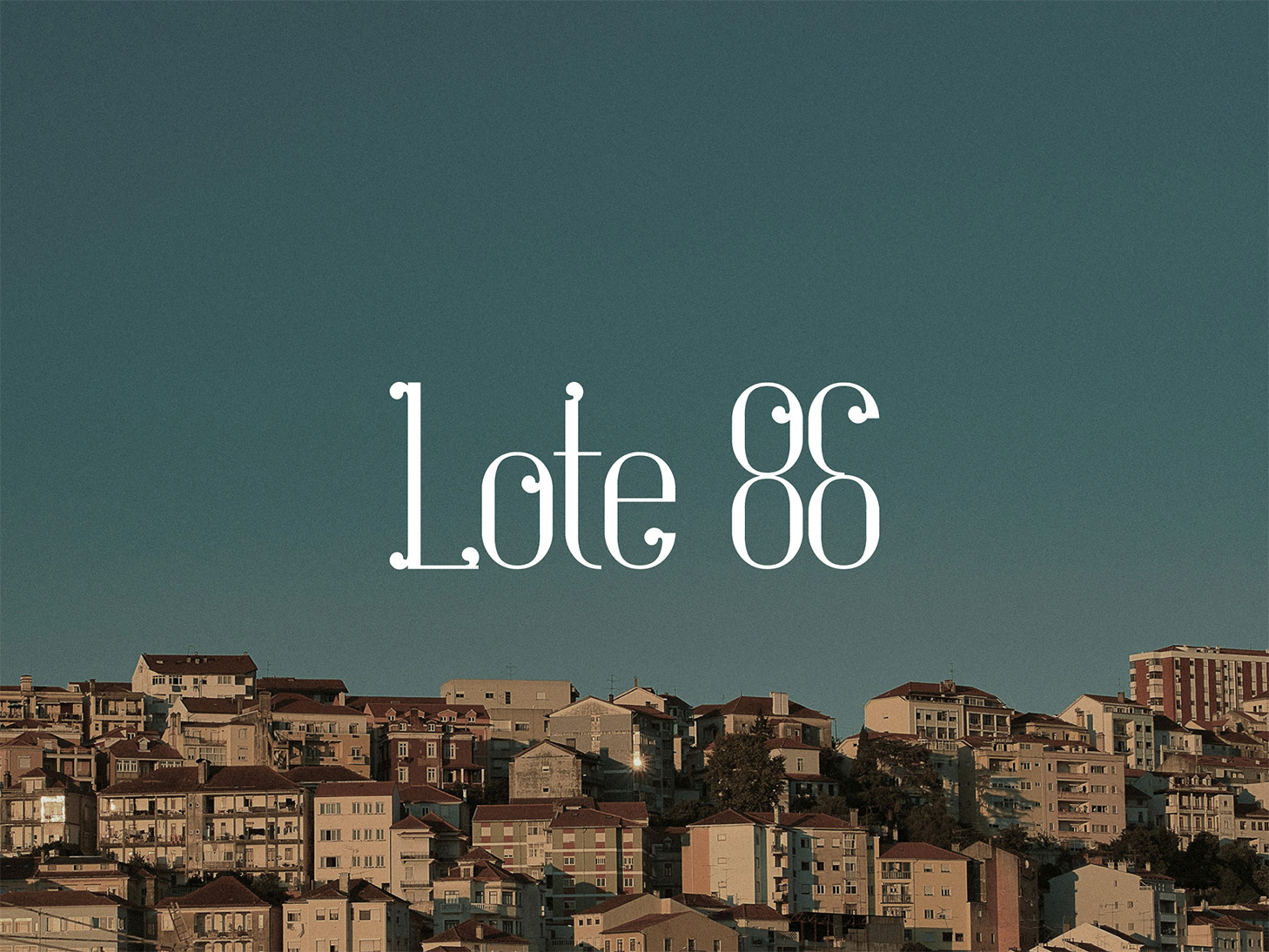 Lote 86